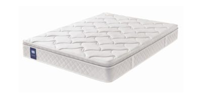 Sealy Mattresses