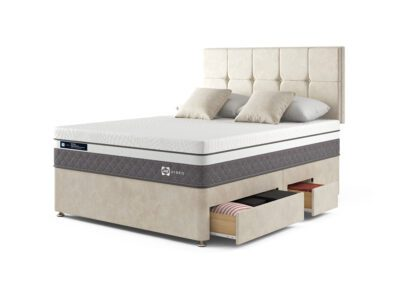 Sealy Mattresses